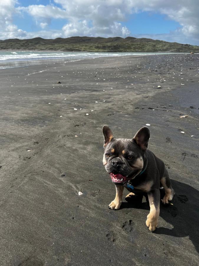 Raglan Retreat On Gilmour Daire Dış mekan fotoğraf